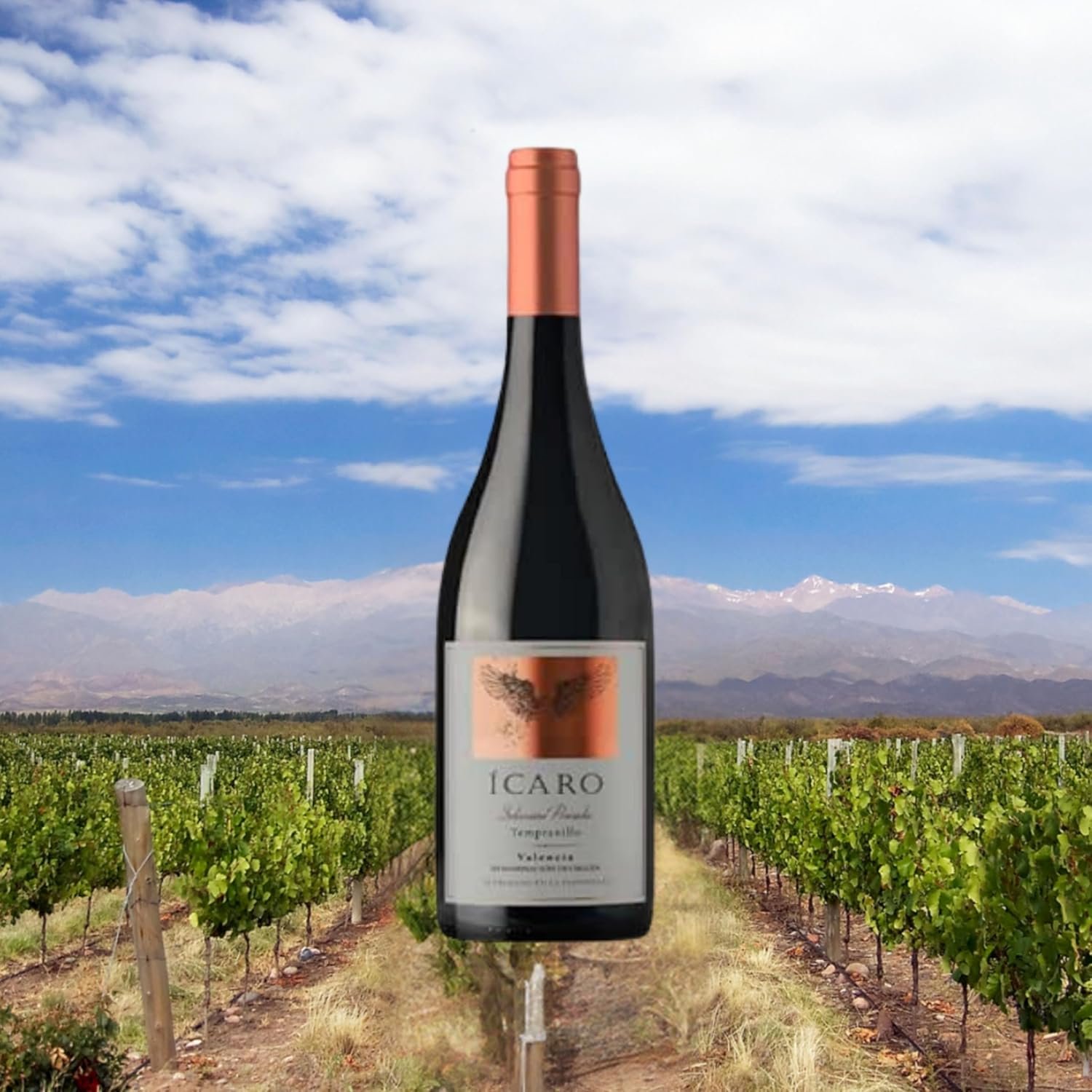 Vinho Tinto Espanhol Ícaro Tempranillo 750ml - Imagem 2