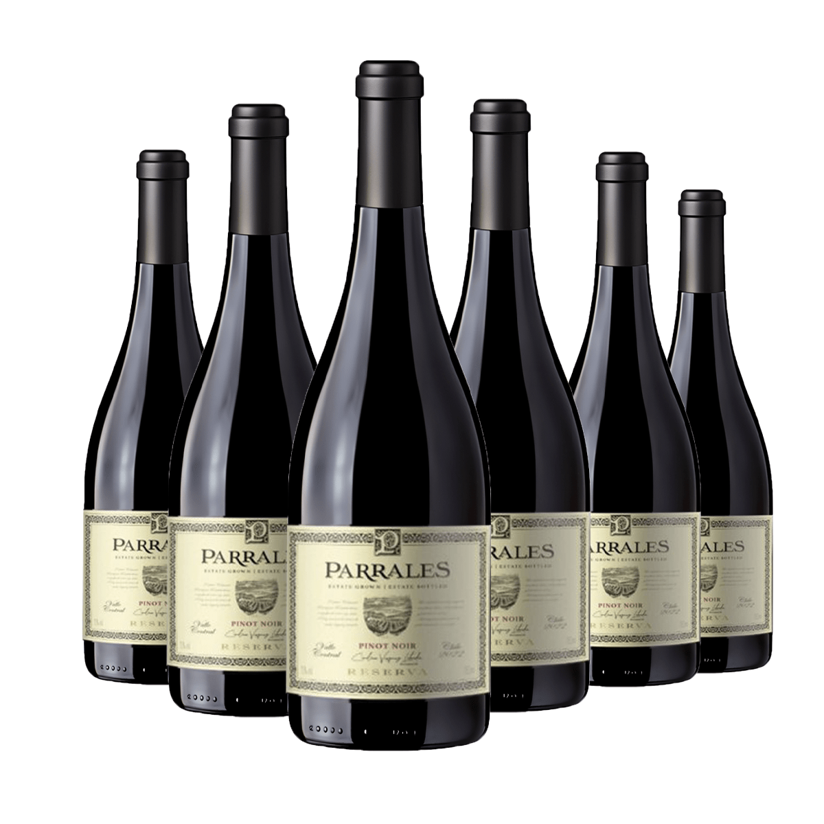Kit 6 Parrales Reserva Pinot Noir